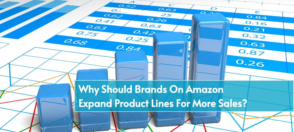 Why Should Brands On Amazon Expand Product Lines For More Sales?